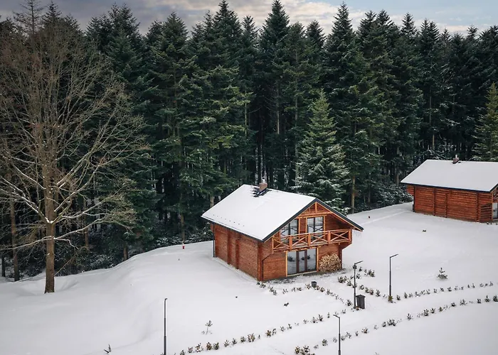 Saltzbork Resort&spa *